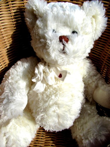 Doudou peluche bukowski - peluche,