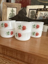 Arcopal France 🇫🇷