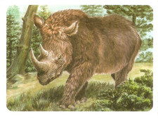 Disney : Fiche Animaux-Collection Journal de Mickey .No126 LE RHINOCEROS LAINEUX