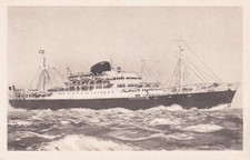 🦬Carte Postale / Postcard /
