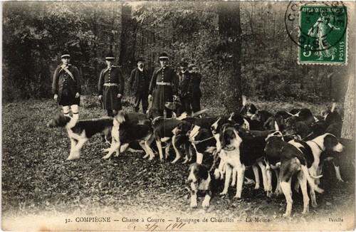 Compiegne chasse courre - pc,