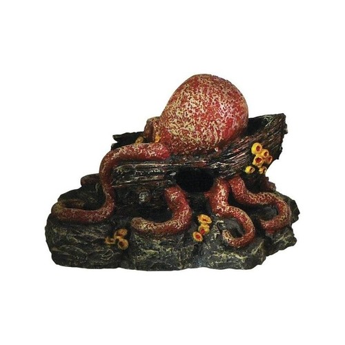 Déco aquarium decoled - déco,