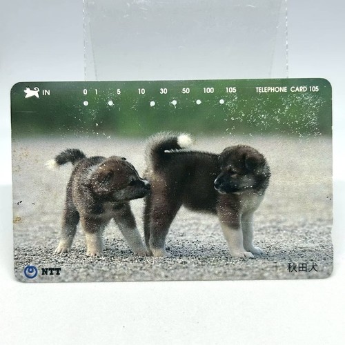 Akita inu puppies two cute - puppies,