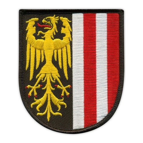 Patchion signe héraldiques - patchion,