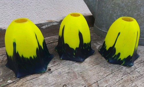 Joli lot tulipes - joli,