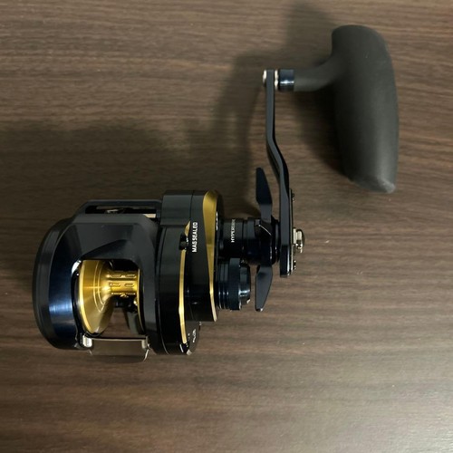 Mint daiwa saltiga - mint, 300