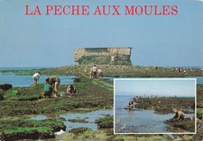 62 LA PECHE AUX MOULES