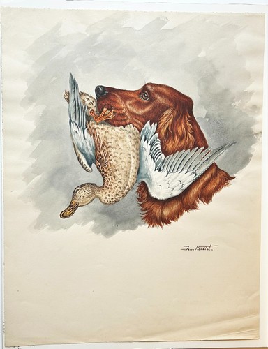 Chasse jean herblet chien - -,