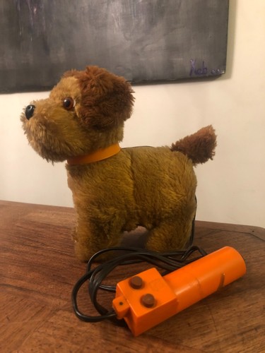 Ancien petit chien filoguidé - ancien,