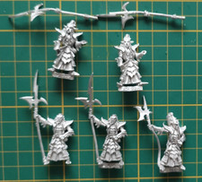 Warhammer Old world  : 5