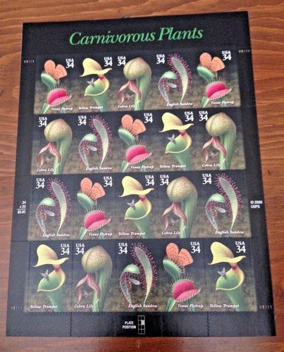 Carnivorous plants name on - carnivorous,