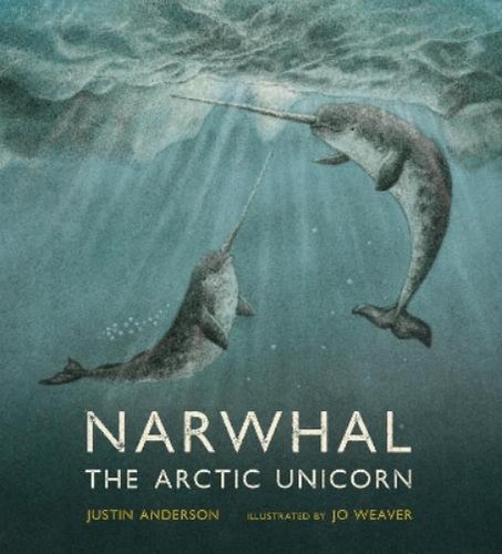 Justin anderson narwhal the - justin,