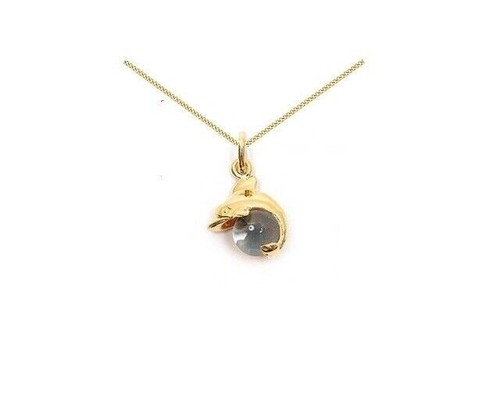 Pendentif plaque veritable - pendentif,