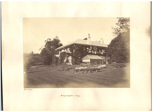 Collodion bishopsteignton - collodion,,