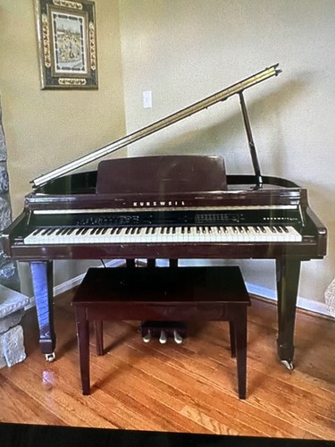 Kurzweil mark 110 - mark, digital