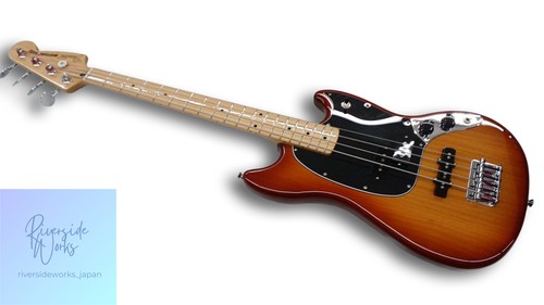Fender mexico electric - fender,