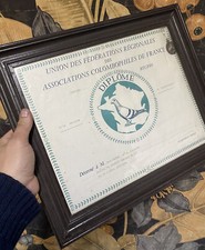 Diplôme Colombophilie