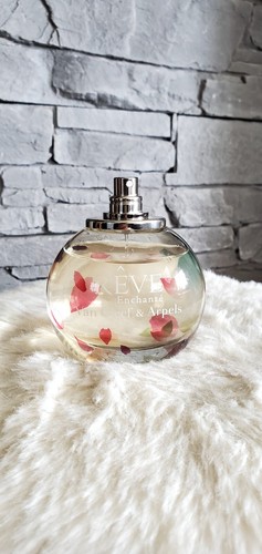Rêve enchanté van - enchanté, de