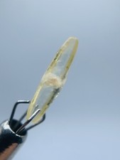 Saphir Brut Ceylan Jaune