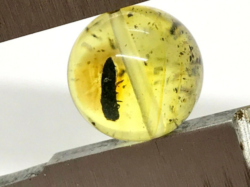 Ambre cadeau insecte perle - ambre,