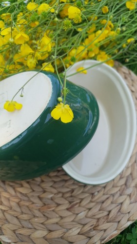 Ensemble terrines plat - terrines,
