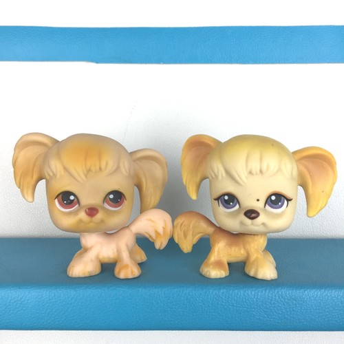 Authentic lot littlest - lot, pet