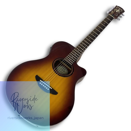 Guitare acoustique électrique
