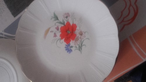 Lot assiettes plates - plates,
