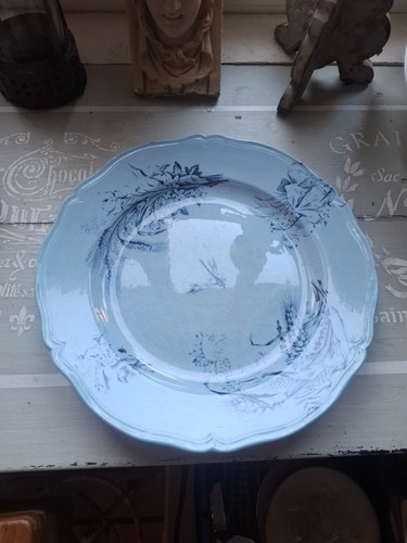 Ancien plat rond libellule - 1,