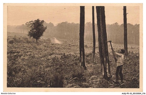 Auqp5 0403 les landes - auqp5-0403-33,