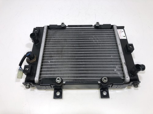 Radiateur eau benelli - eau,
