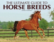 Le Guide Ultime Des Races De Chevaux : Une Encyclopédie Illustrée