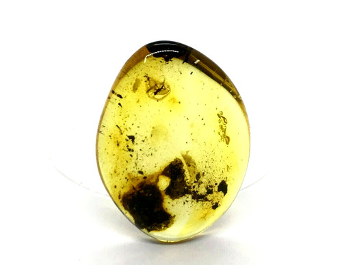 Pièce ambre avec inclusion - pièce, d'ambre