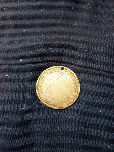 écu louis xiii - 1/4, ,