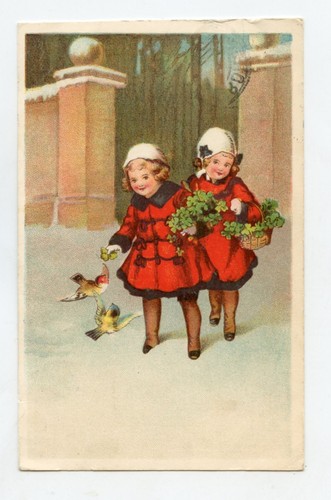 Oiseaux chardonneret et - chardonneret,