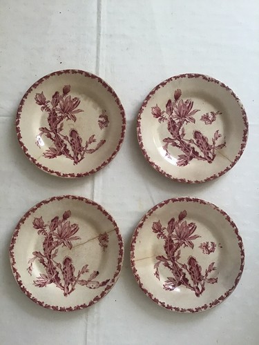 Assiettes gien cactus rose - cactus,