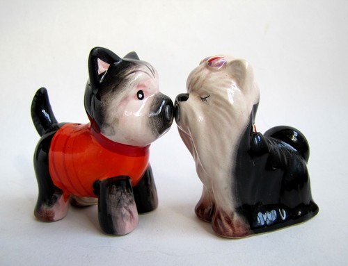 Ensemble sel poivre chiens - sel,