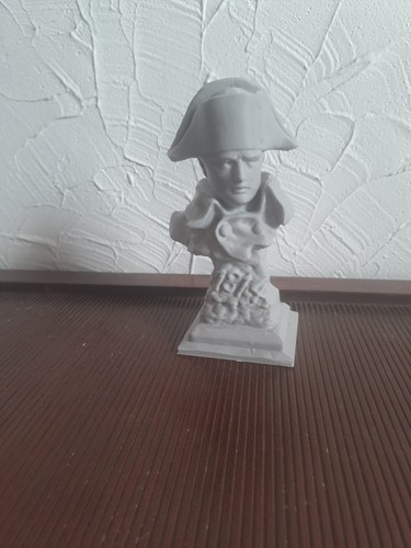 Buste napoleon - buste,
