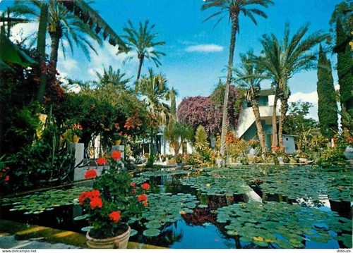 Carte postale maroc - carte,
