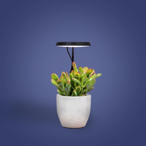Aerogarden stem grow light - grow,