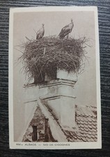ALSACE NID DE CIGOGNES