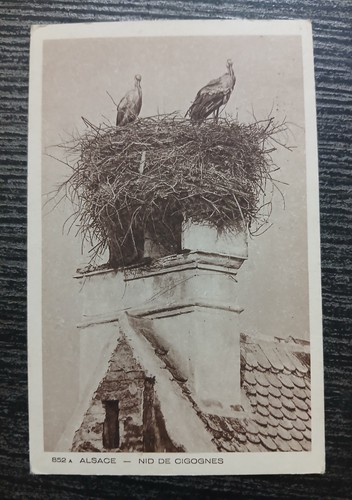 Alsace nid cigognes - alsace,