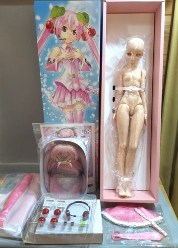Volks sakura miku 0 - volks, 2.0