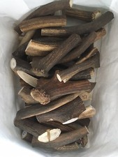 Bois de cerf pour Chien a