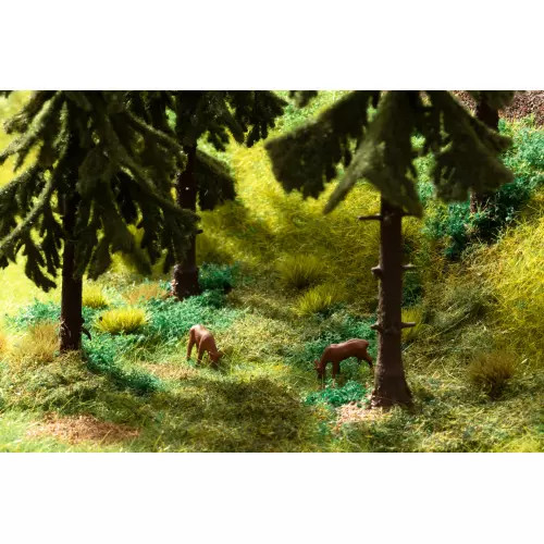 Noch 60772 vegetation - vegetation, start