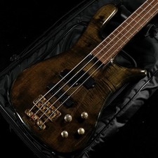 Warwick Streamer Stage I