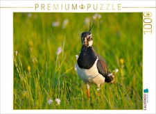 CALVENDO Puzzle Kiebitz