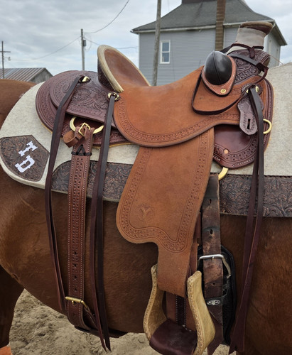 Circle ranch in wade - circle, 15