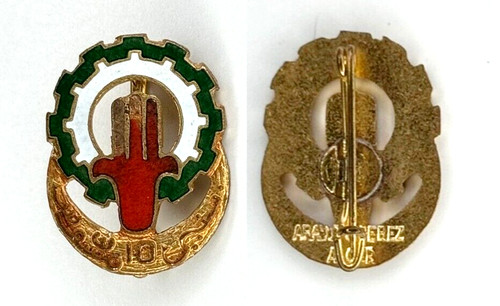 Insigne afn cit - insigne,
