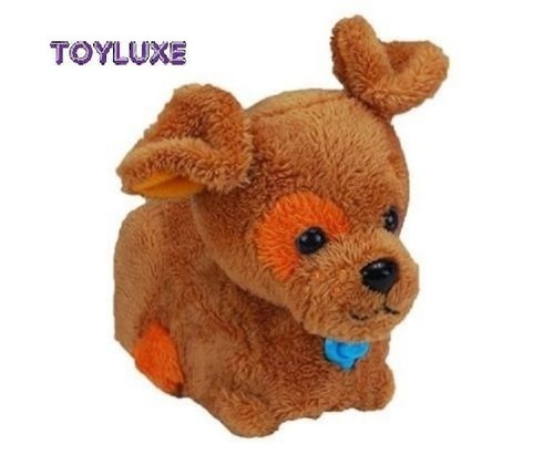 Zhu pet puppies puppy - zhu,